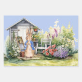 Peter the Rabbit Garden Shed Geschenkpapier Set (Vorderseite 2)