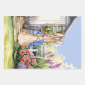 Peter the Rabbit Garden Shed Geschenkpapier Set (Vorderseite)