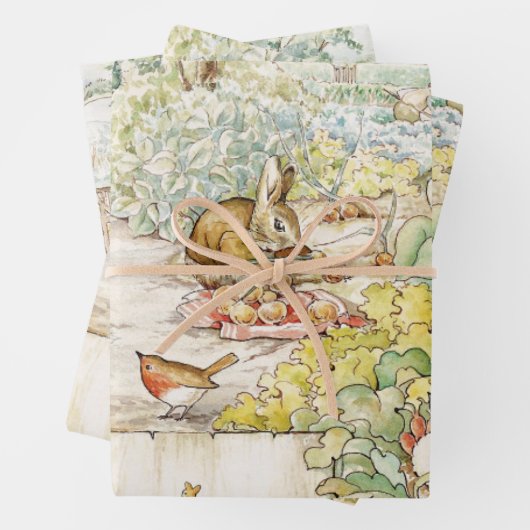 Peter the Rabbit Geschenkpapier Set (Beispiel)