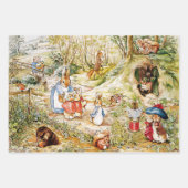 Peter the Rabbit Geschenkpapier Set (Vorderseite 2)