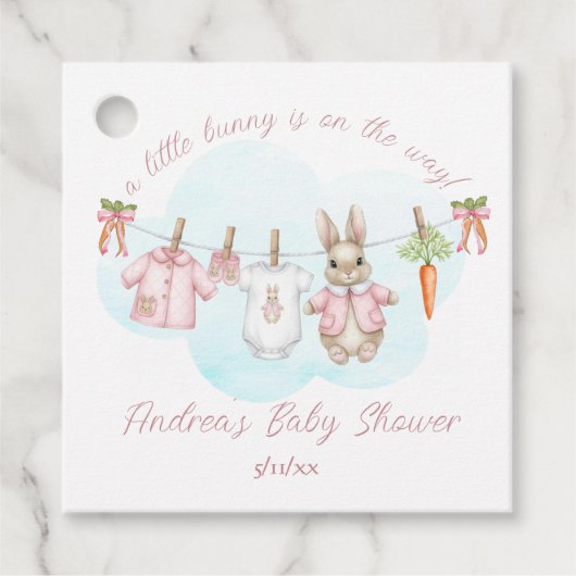 Peter the Rabbit Girl Clothesline Baby Shower Geschenkanhänger (Vorderseite)