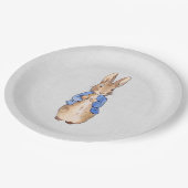 Peter the Rabbit graue Leinenstruktur Pappteller (Schrägansicht)