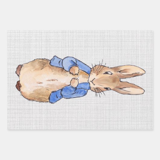 Peter the Rabbit Gray Linen Hintergrund Geschenkpapier Set (Vorderseite 3)
