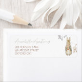 Peter the Rabbit Herbst Herbst Winter Baby Dusche (Insitu)