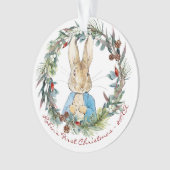 Peter the Rabbit Personalisiert Erste Weihnachten Ornament (Vorderseite)