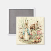 Peter und Benjamin Gather Onions von Beatrix Potte Magnet (Vorderseite/Rückseite)