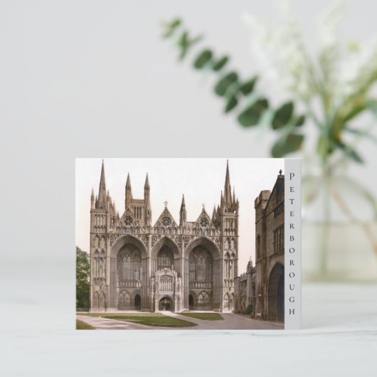 Peterborough Cathedral, England (c. 1900) Postkarte (Stehend Vorderseite)
