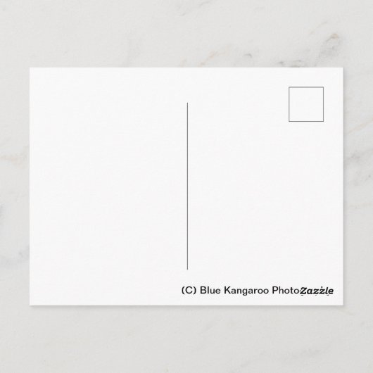 Peterborough Cathedral Square Postkarte (Rückseite)