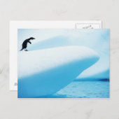 Petermann-Insel, Antarktis Postkarte (Vorne/Hinten)