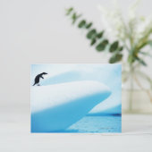 Petermann-Insel, Antarktis Postkarte (Stehend Vorderseite)