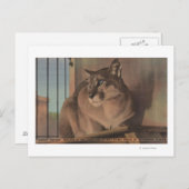 Petersburg, Florida - Bild von Florida Postkarte (Vorne/Hinten)