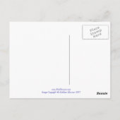 Petersburg, Russland - Postkarte (Rückseite)