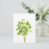Petersilie Kräuter Parsley Aquarell Pflanze grün Postkarte (Stehend Vorderseite)