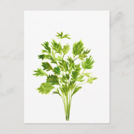 Petersilie Kräuter Parsley Aquarell Pflanze grün Postkarte