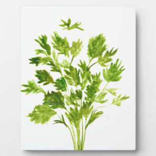 Petersilie Kräuter Petersilie drucken Fotoplatte