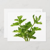 Petersilie Postkarte (Vorne/Hinten)