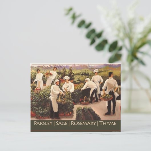 Petersilie, Sage, Rosemary und Thyme Postkarte (Stehend Vorderseite)