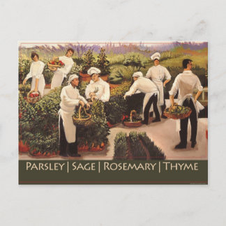 Petersilie, Sage, Rosemary und Thyme Postkarte