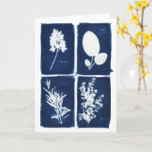 Petersilie weiser Rosemary u. Thymian-freier Raum Karte (Gelbe Blume)