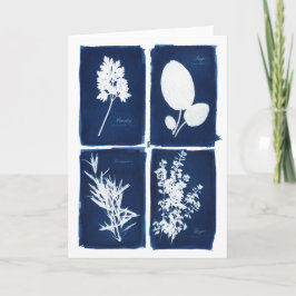 Petersilie weiser Rosemary u. Thymian-freier Raum Karte