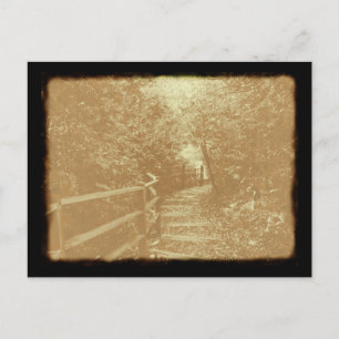 Peterson Park, Northport, Michigan - Postcard Postkarte