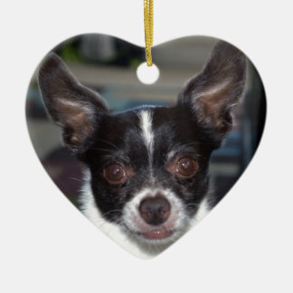 Petey die Chihuahua Keramikornament