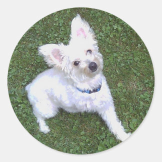 Petey, Pom-A-Poo-Aufkleber Runder Aufkleber