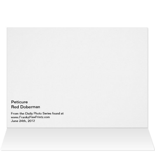 Peticure - Pedicure-Wellness-Center-Tag (Innenansicht Horizontal (Oben))