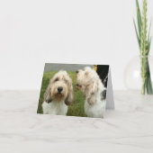 Petit Basette Griffon Vendeen Blank Card Karte (Vorderseite)