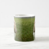 Petit Basette Griffon Vendeen Kaffeetasse (Mittel)