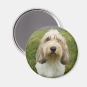 Petit Basette Griffon Vendeen Magnet (Vorderseite/Rückseite)