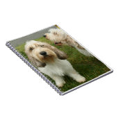 Petit Basette Griffon Vendeen Notizblock (Rechte Seite)