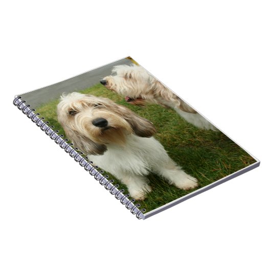 Petit Basette Griffon Vendeen Notizblock (Rechte Seite)