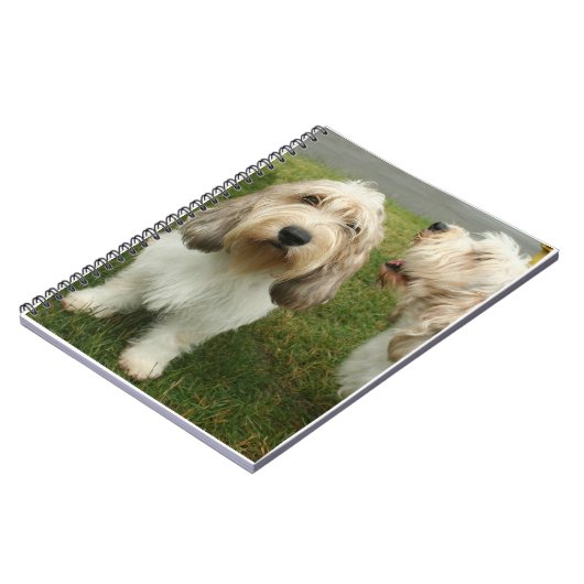 Petit Basette Griffon Vendeen Notizblock (Linke Seite)