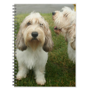 Petit Basette Griffon Vendeen Notizblock