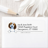 Petit Basset Griffon Vendeen Clean & Simple (Insitu)