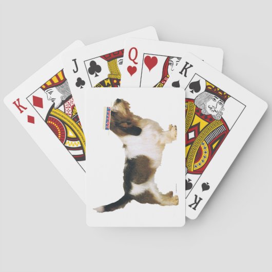Petit Basset Griffon Vendeen Dapper Spielkarten (Rückseite)