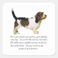 Petit Basset Griffon Vendeen Female