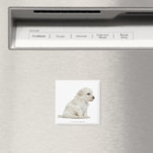 Petit chien lion oder Little Lion Doppy Welpe Magnet (In Situ (Geschirrspüler))