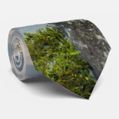 Petit Jean Cedar Creek Neck Tie Krawatte (Gerollt)