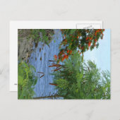 Petite Anse - Martinique, FWI Postkarte (Vorne/Hinten)