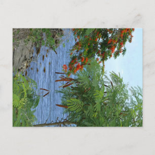 Petite Anse - Martinique, FWI Postkarte