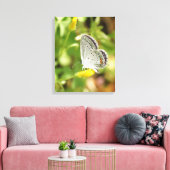 Petite Butterfly Leinwanddruck (Insitu (Wohnzimmer))