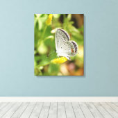 Petite Butterfly Leinwanddruck (Insitu (Holzboden))
