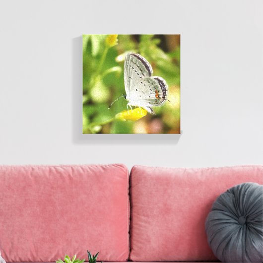 Petite Butterfly Leinwanddruck (Insitu (Wohnzimmer))