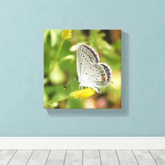 Petite Butterfly Leinwanddruck (Insitu (Holzboden))
