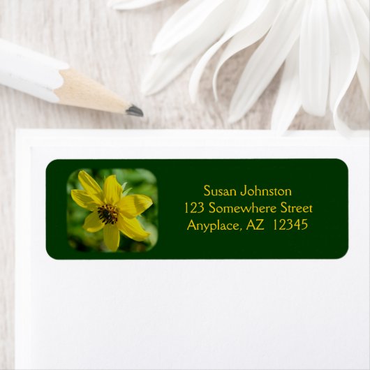 Petite Sunflower (Insitu)