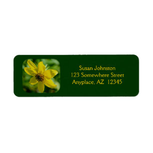 Petite Sunflower