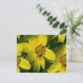 Petite Sunflowers Flower Fotografy Postcard Postkarte (Stehend Vorderseite)
