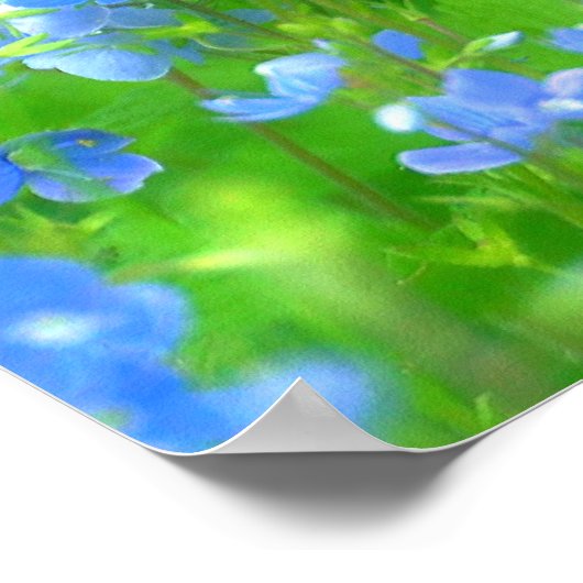 PETITES FLEURS BLEUES POSTER (Ecke)